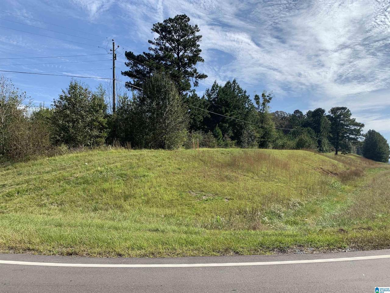 1832 Highway 280 - Photo 1