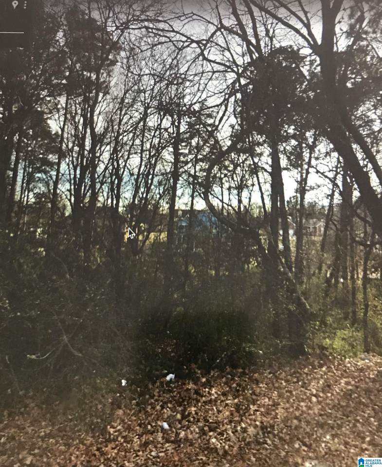 910 Monterey Drive - Photo 1