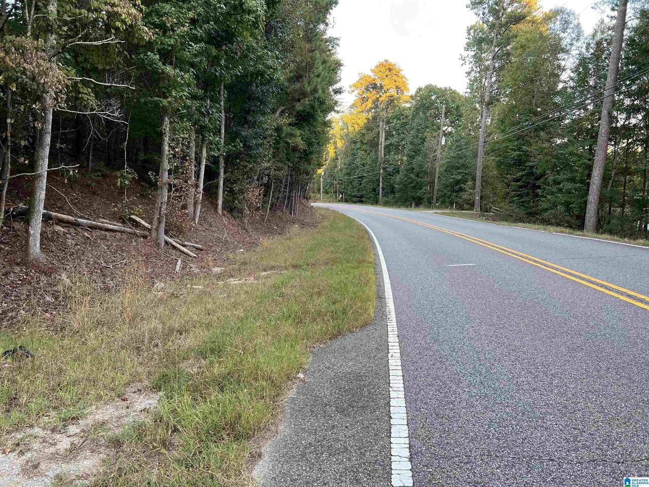 6365 Highway 78 - Photo 1