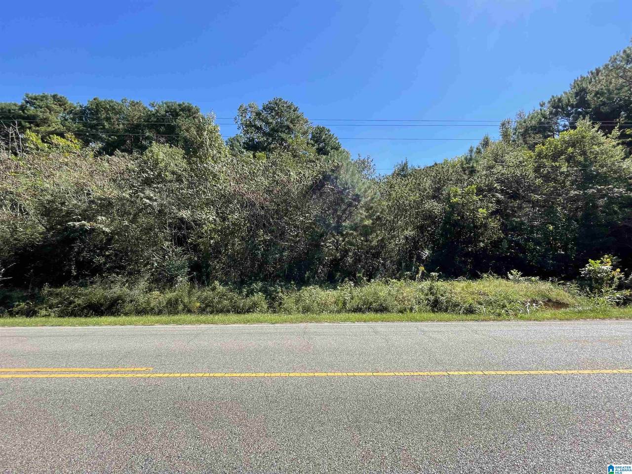 0 Old Highway 25 - Photo 1