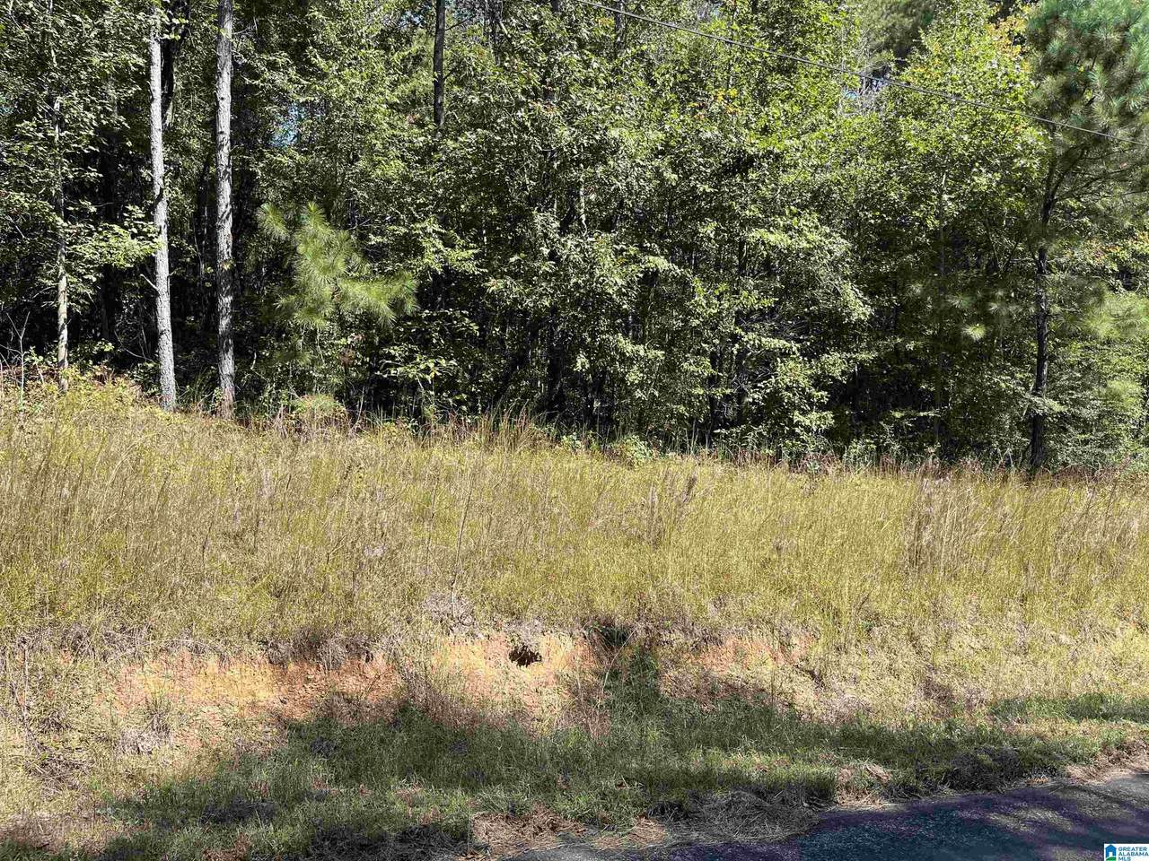 Lot 29 Deerbrook Road - Photo 1