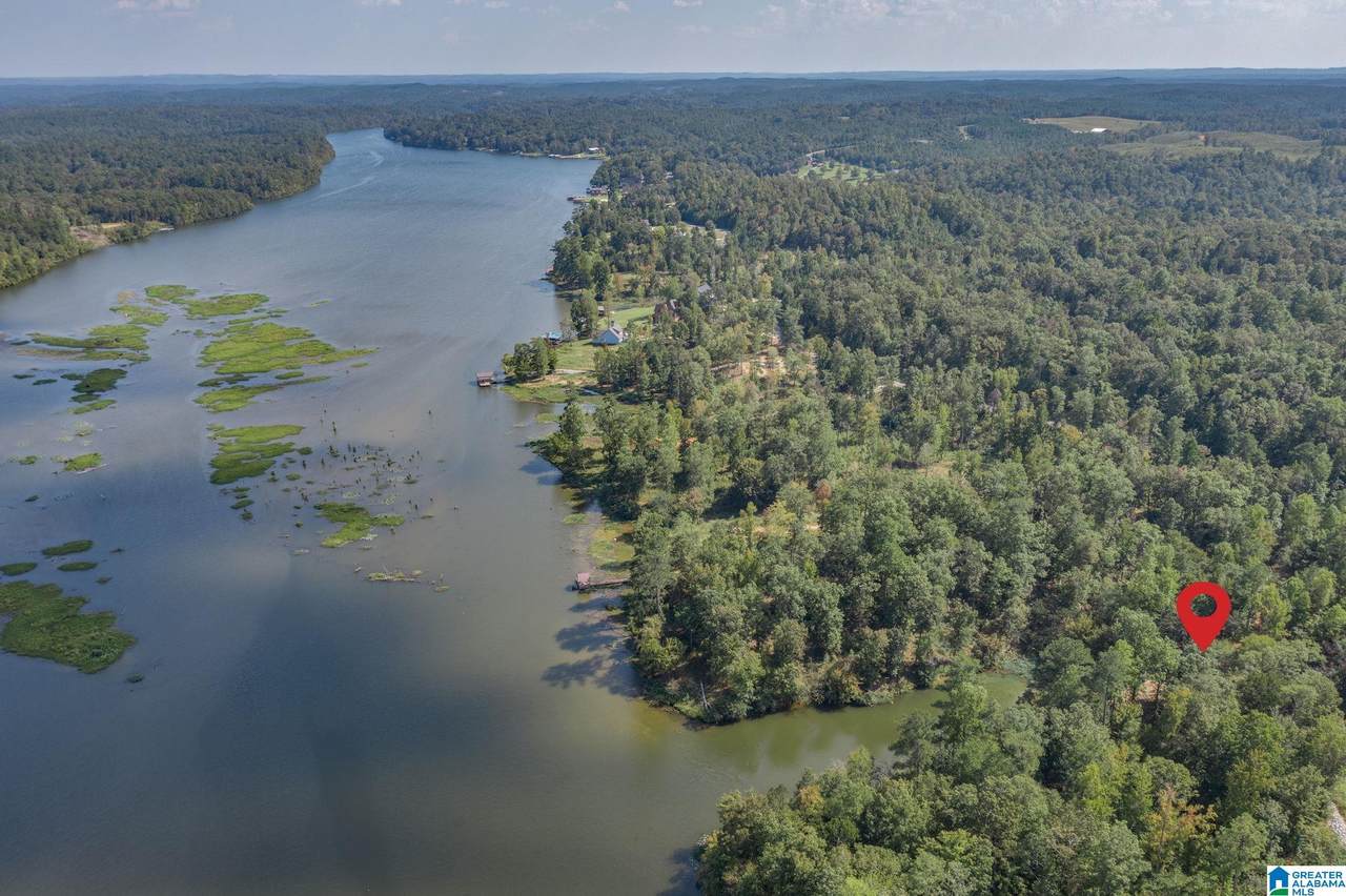 LOT 12 Lake View Drive - Photo 1