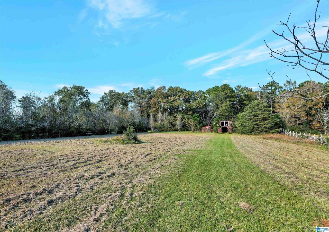 1501 Doss Drive - Photo 1