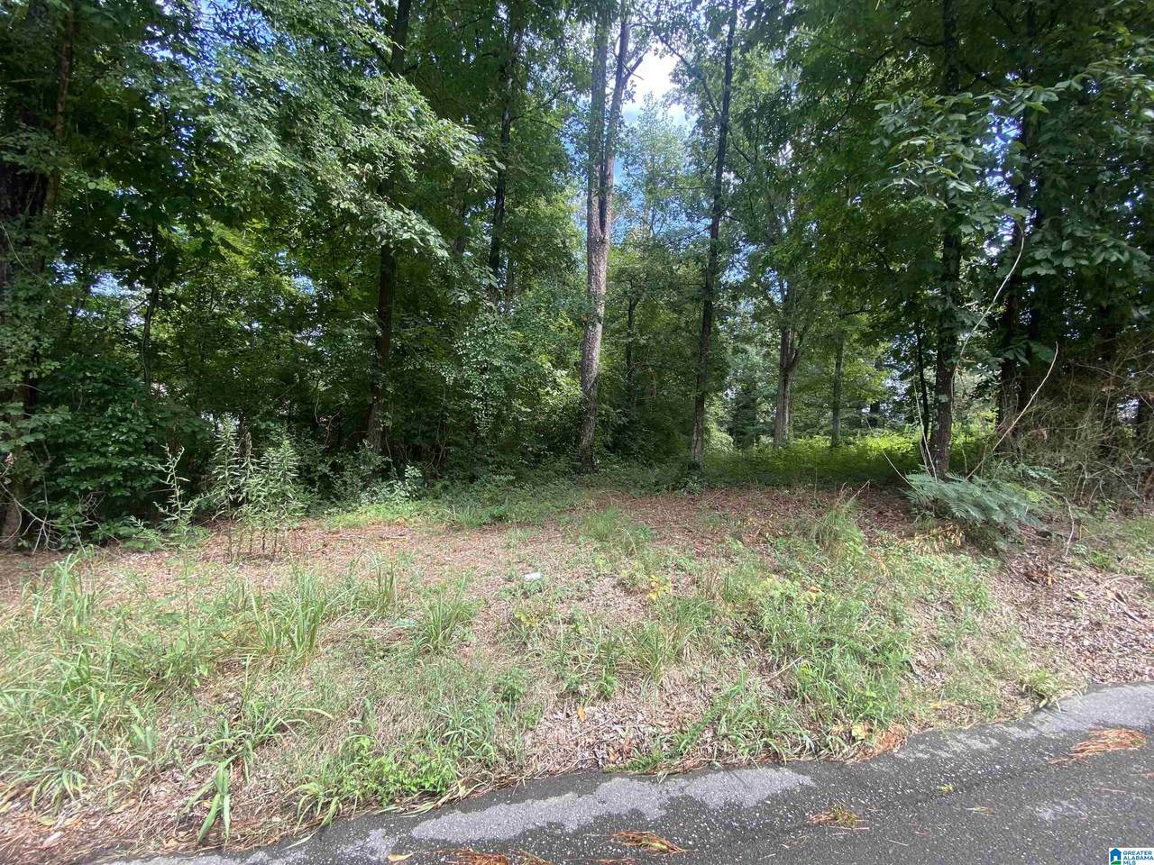 0 Brown Drive - Photo 1
