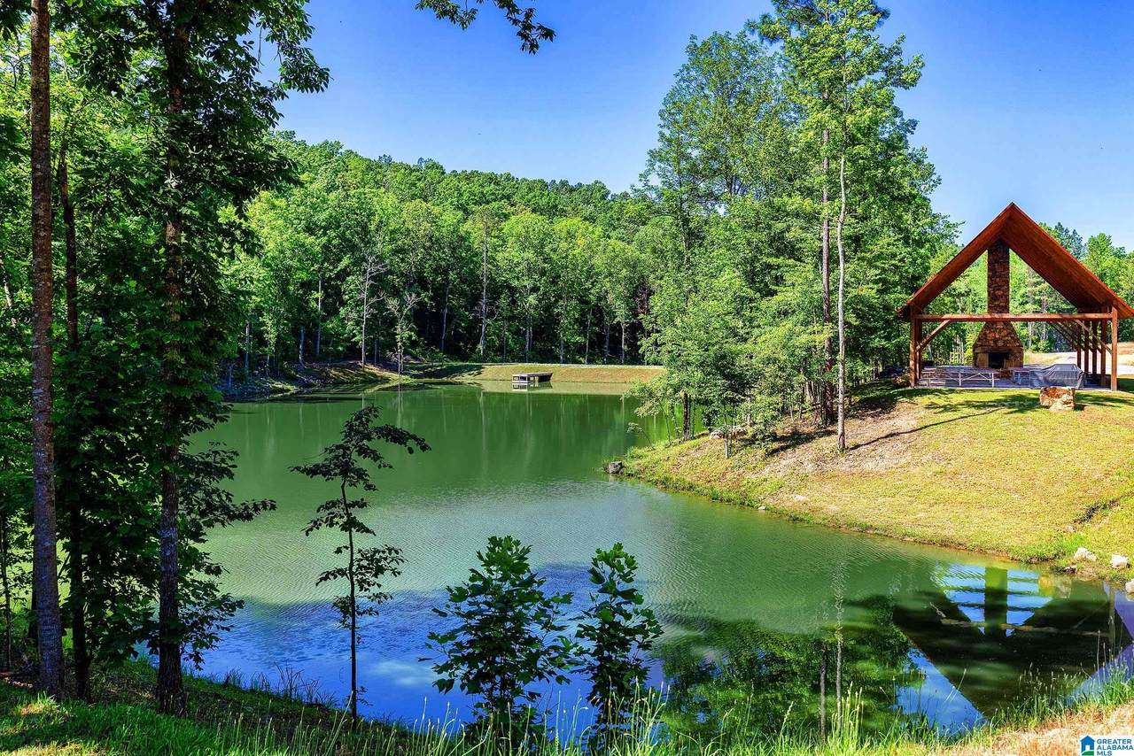 712 Hickory Hollow - Photo 1