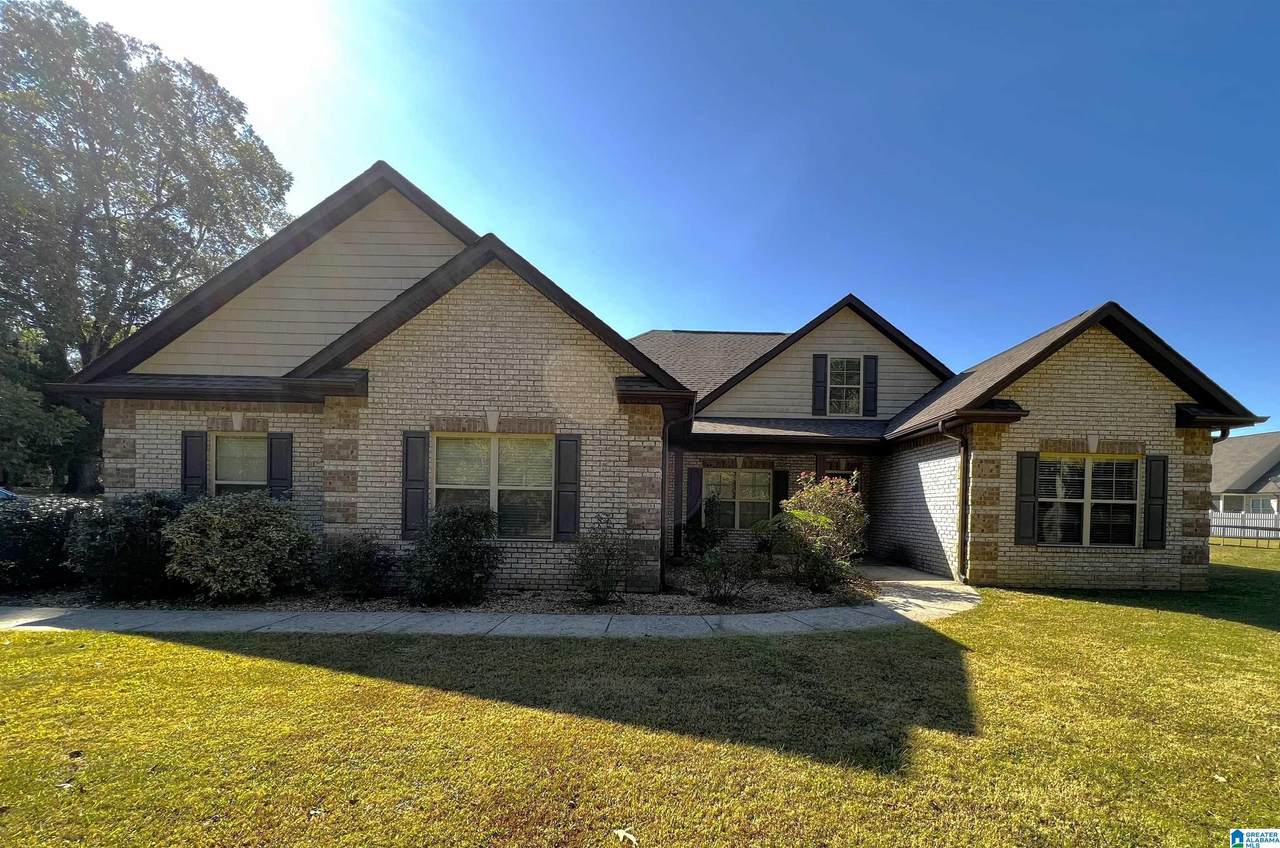 650 County Road 469 - Photo 1
