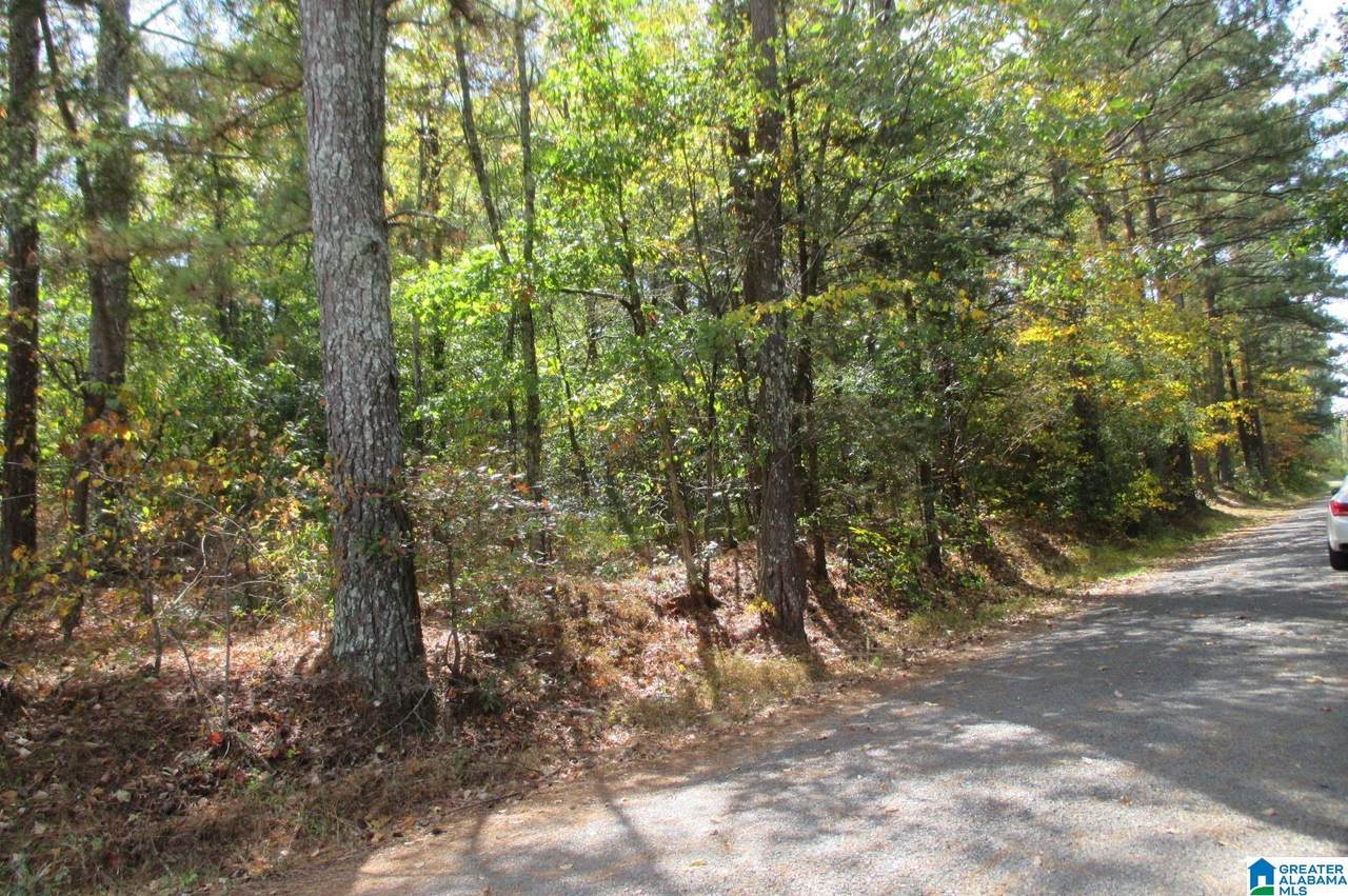 0 Spruce Lane - Photo 1