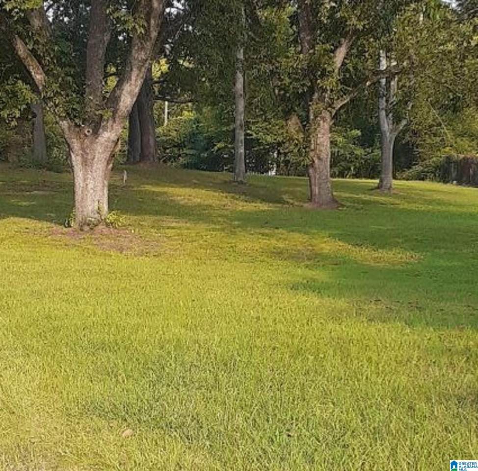 00 Avondale Avenue - Photo 1