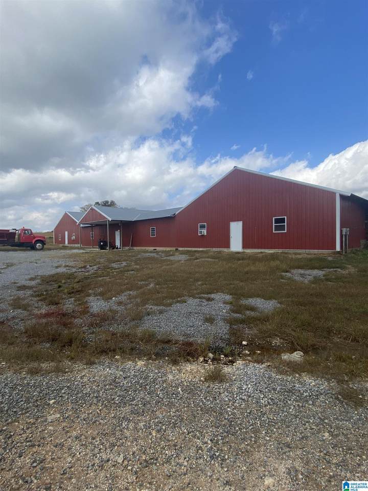 1036 County Road 433 - Photo 1