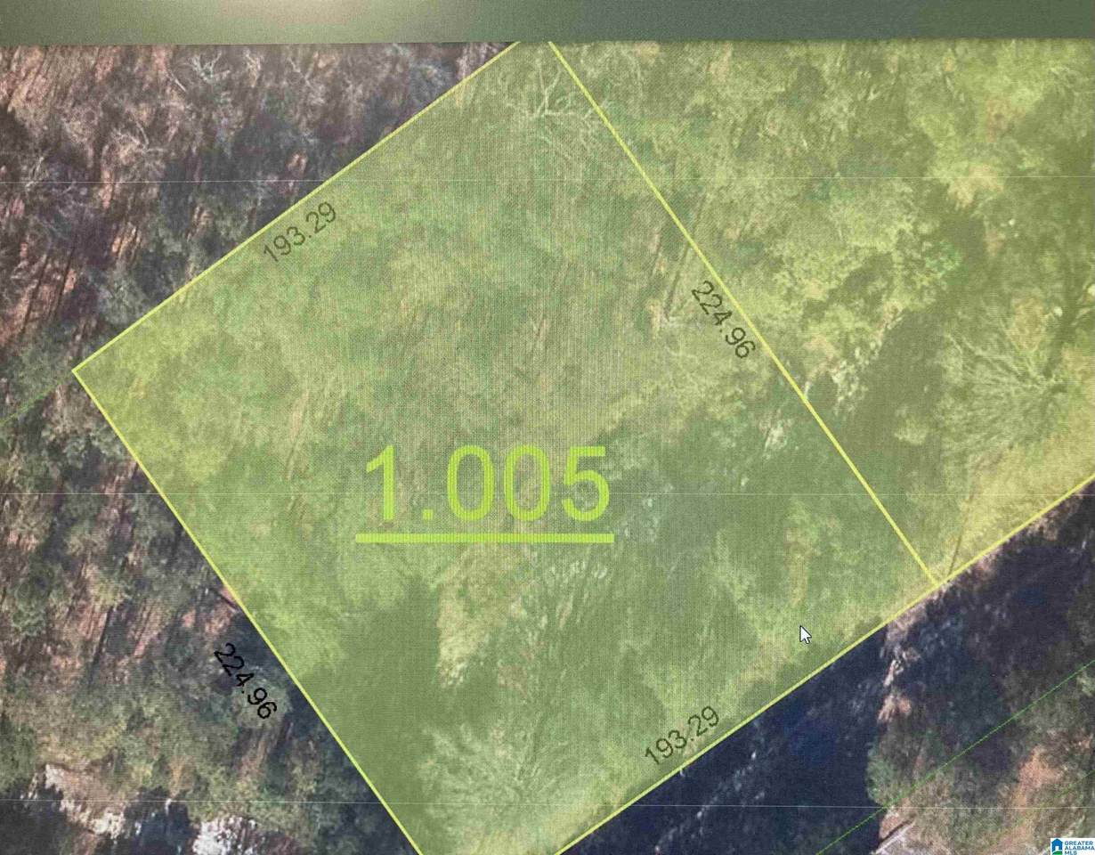 1058 Old Summerall Gate Road - Photo 1