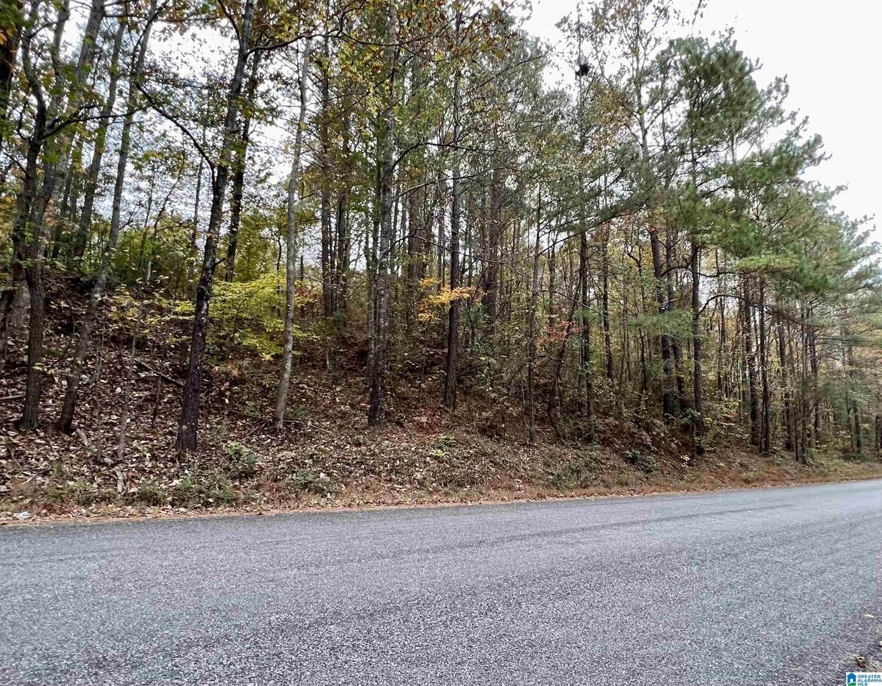 0 Rock Springs Road - Photo 1