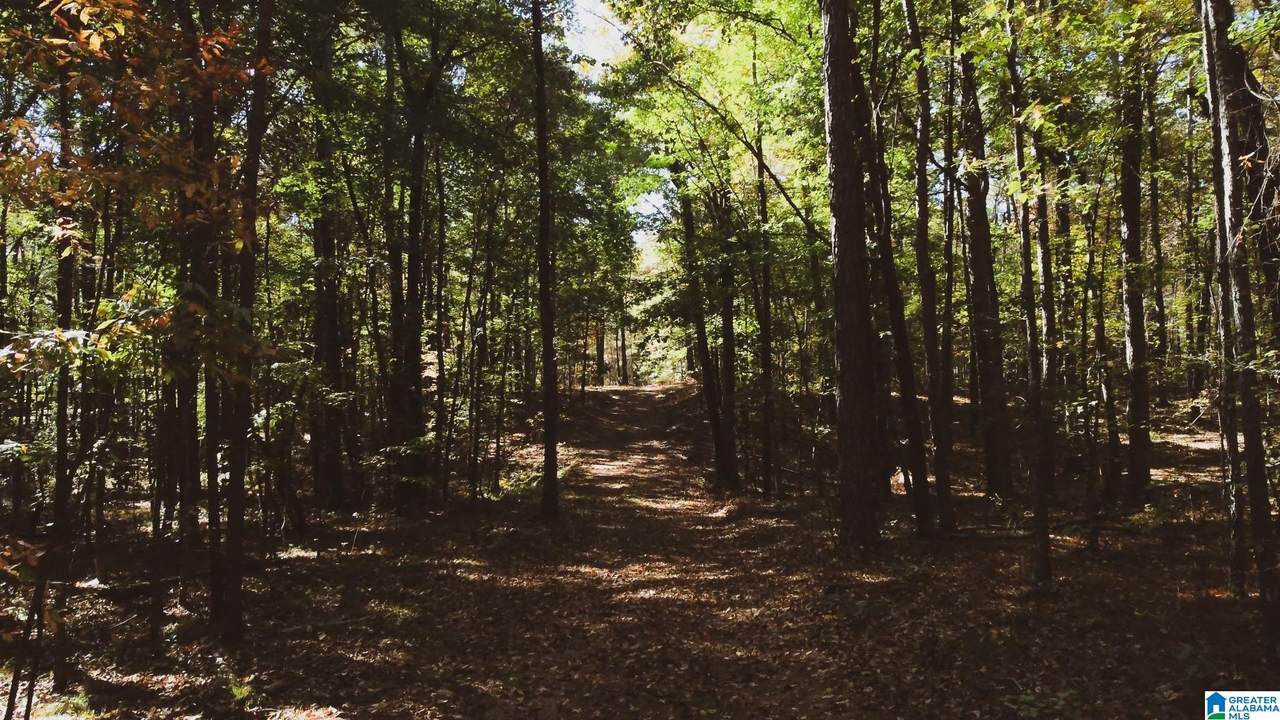 County Road 467 - Photo 1