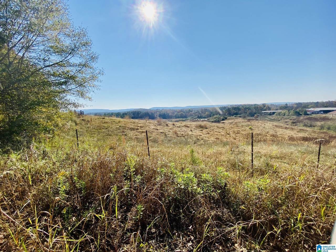 35258 Highway 79 - Photo 1