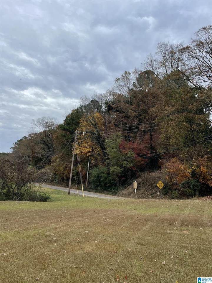 800 Malone Drive - Photo 1