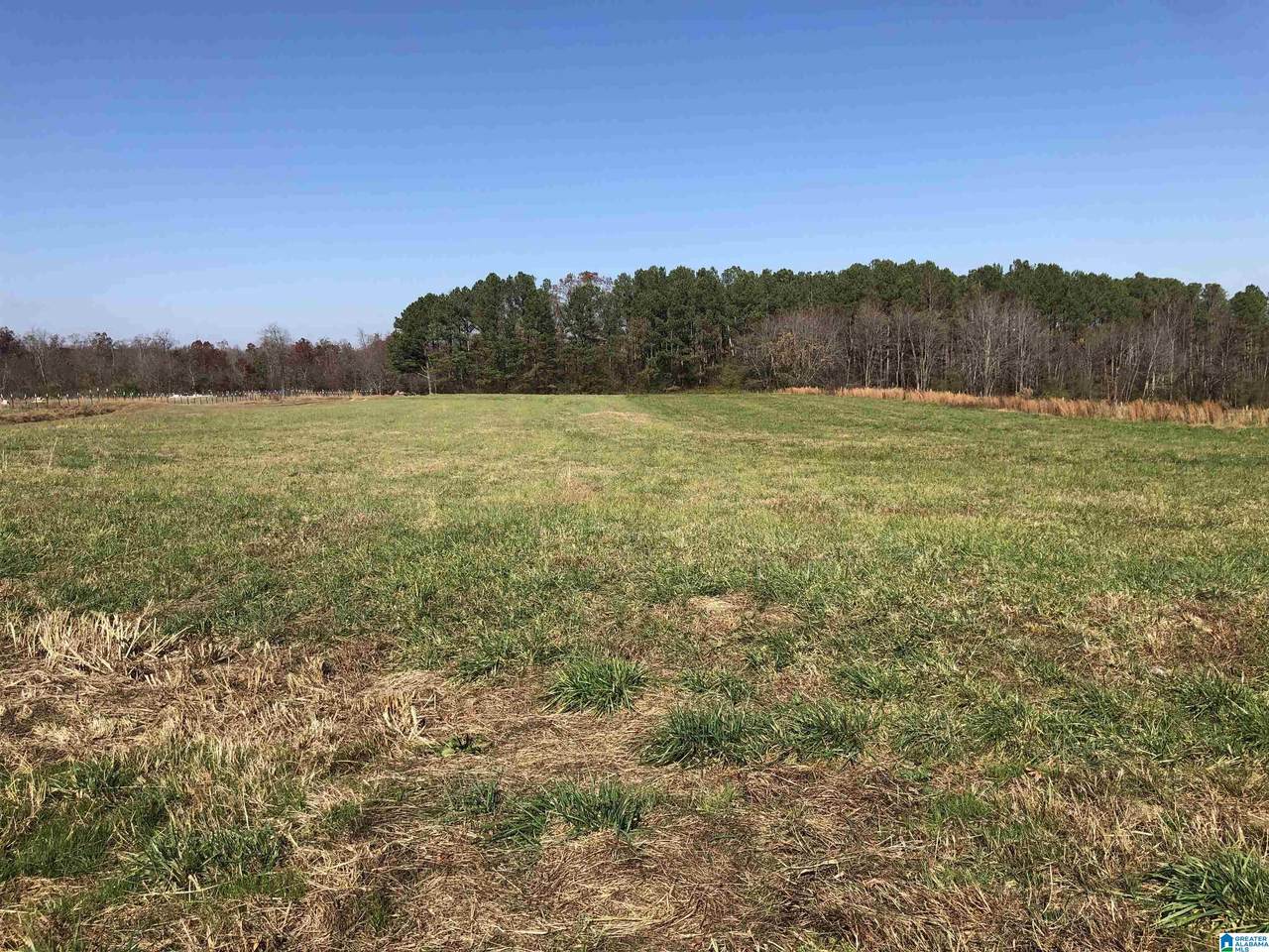 400 County Road 642 - Photo 1