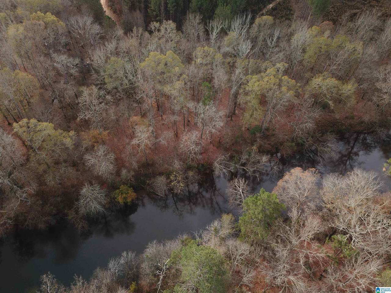 0 County Road 290 - Photo 1