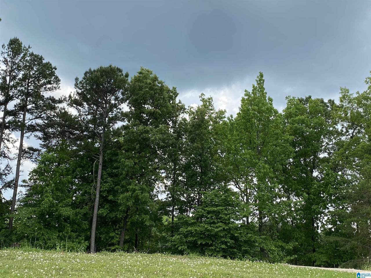 4719 Brookcrest Lane - Photo 1