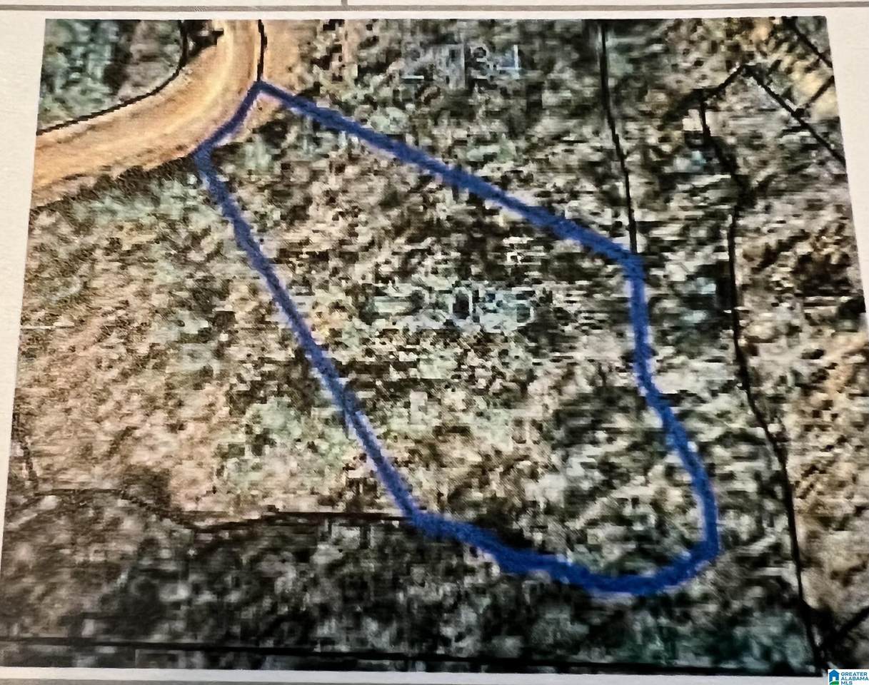 Foster Hills Road - Photo 1