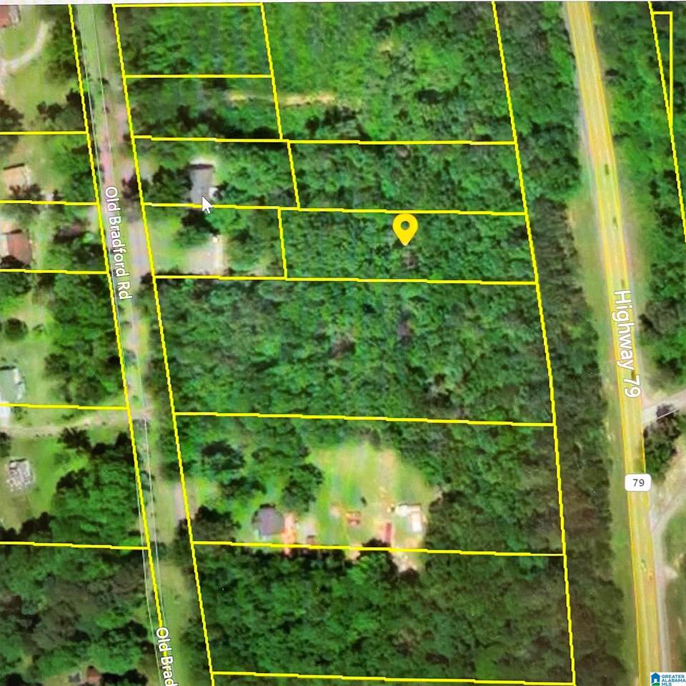7640 Highway 79 - Photo 1