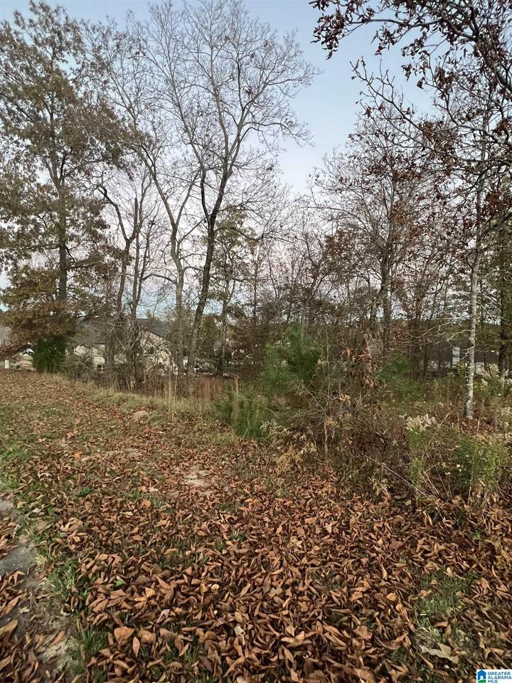140 Edgewater Drive - Photo 1
