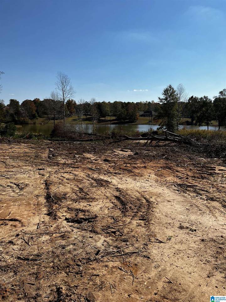 6 Austin Loop - Photo 1