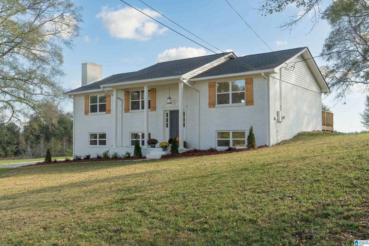 6912 Harpers Dairy Loop - Photo 1