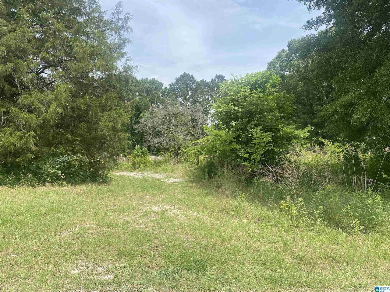 0 Blue Eye Road - Photo 1