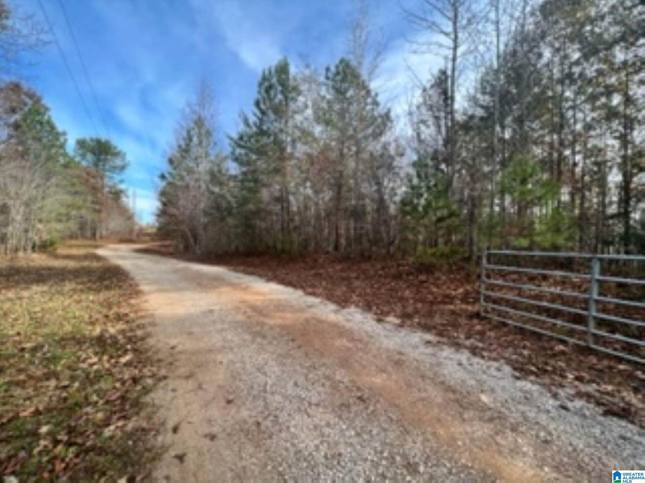 542 County Road 1043 - Photo 1