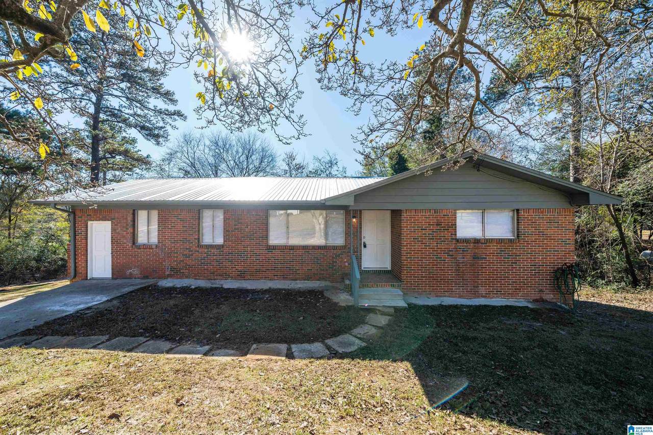 101 Blackberry Lane - Photo 1