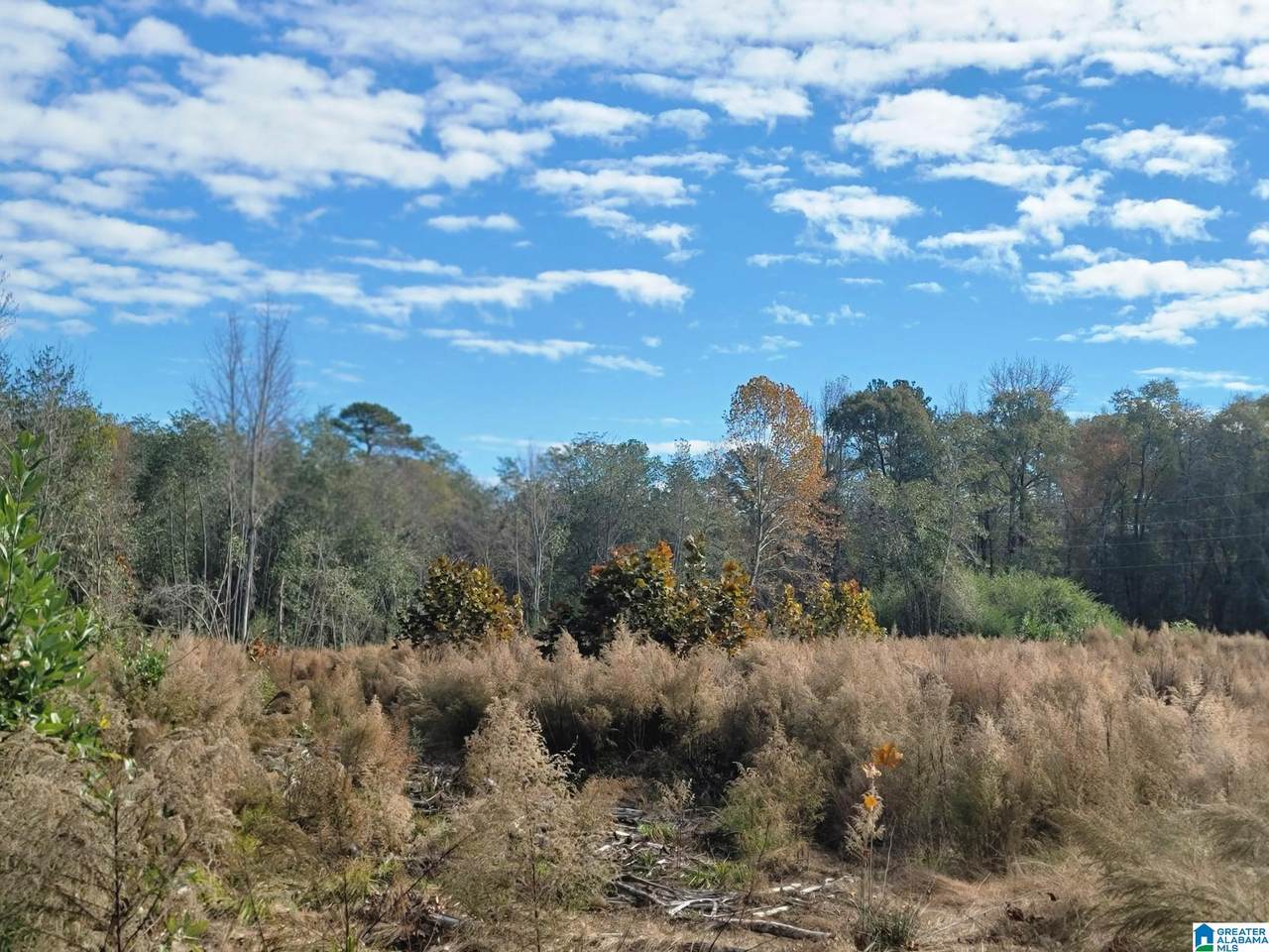 898 County Road 49 - Photo 1