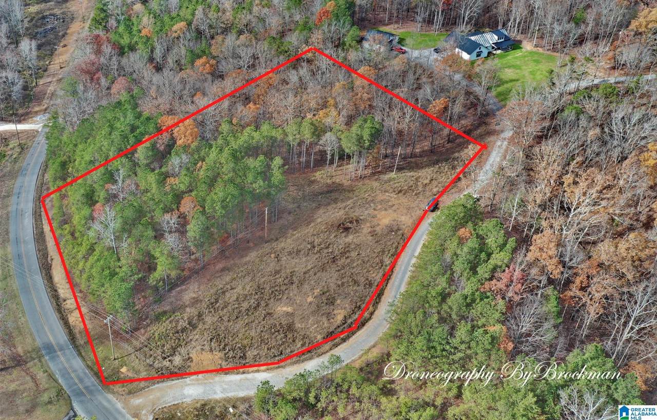 2940 County Road 616 - Photo 1