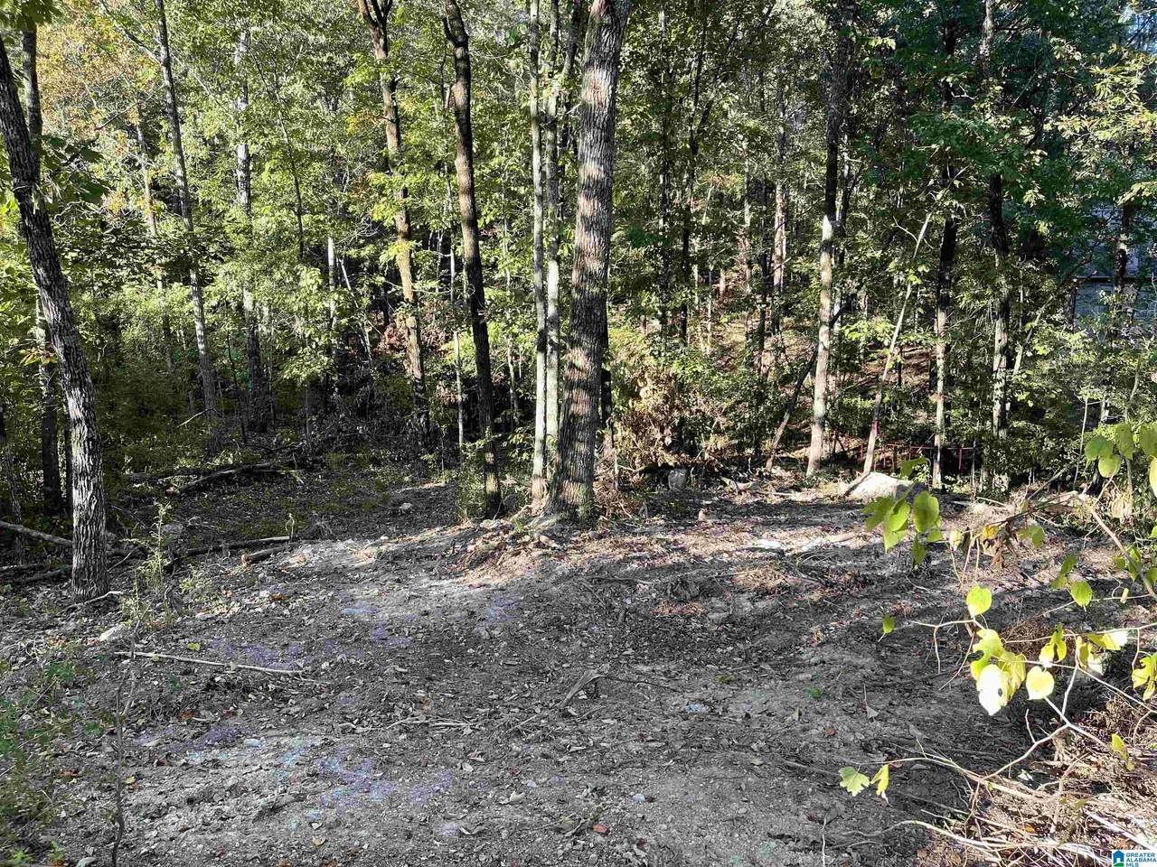 301 Forest Parkway - Photo 1