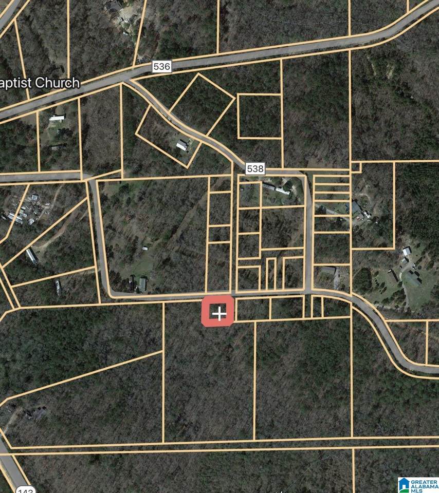 0 County Road 540 - Photo 1