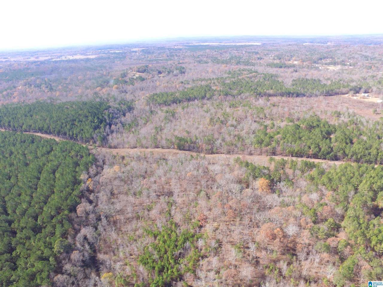 385 Carr Road - Photo 1