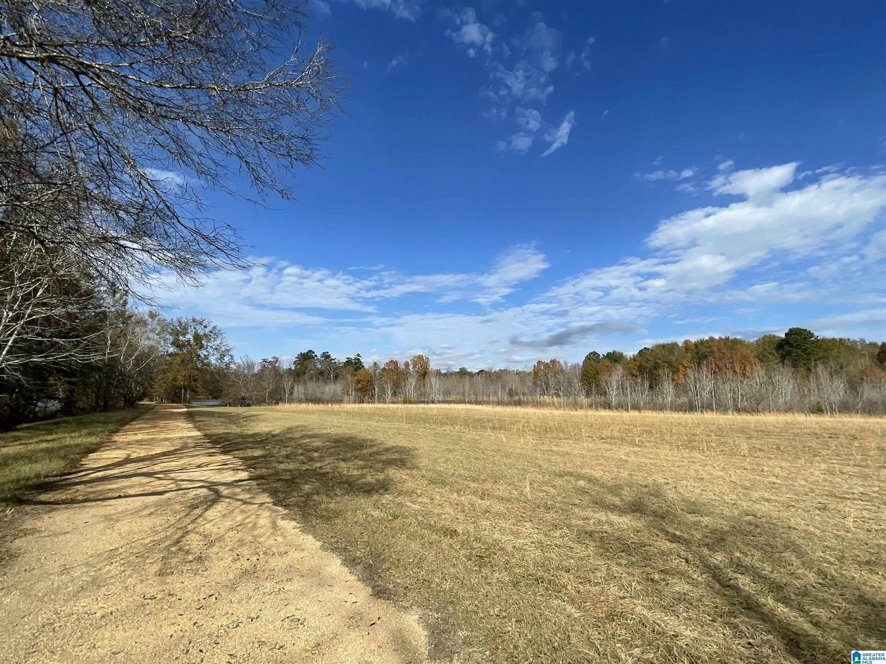 2126 Hebb Road - Photo 1