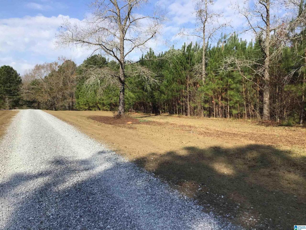 0 Statum Farm Road - Photo 1