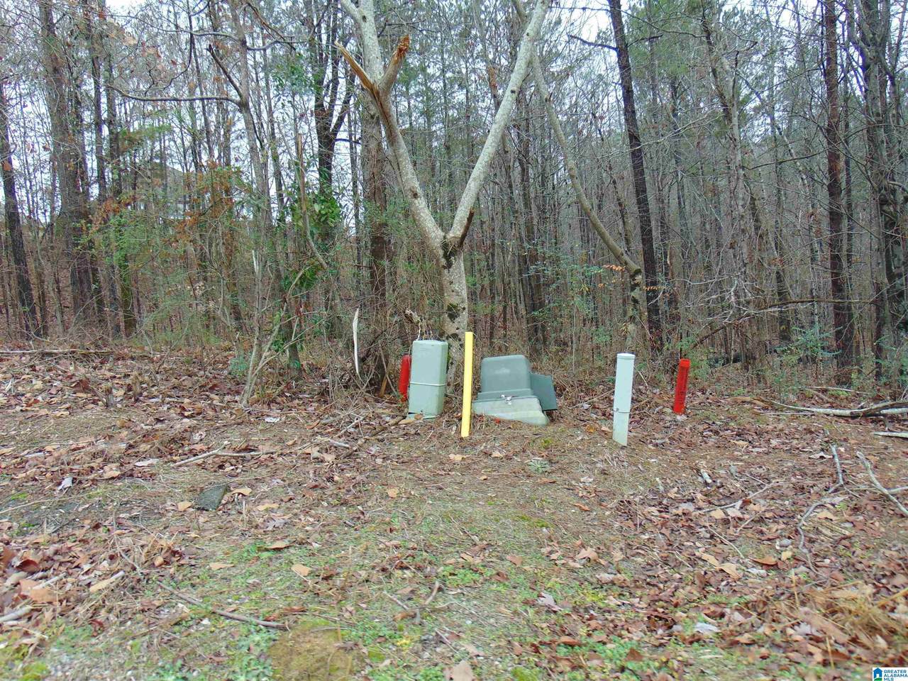 116 Jewell Circle - Photo 1