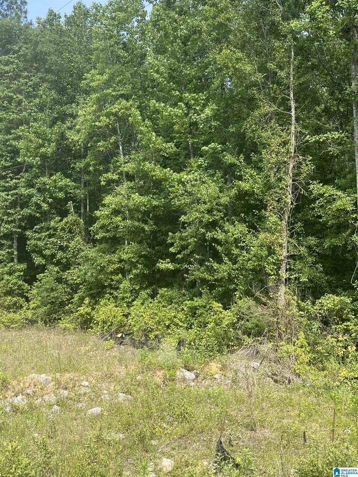 439 County Road 230 - Photo 1