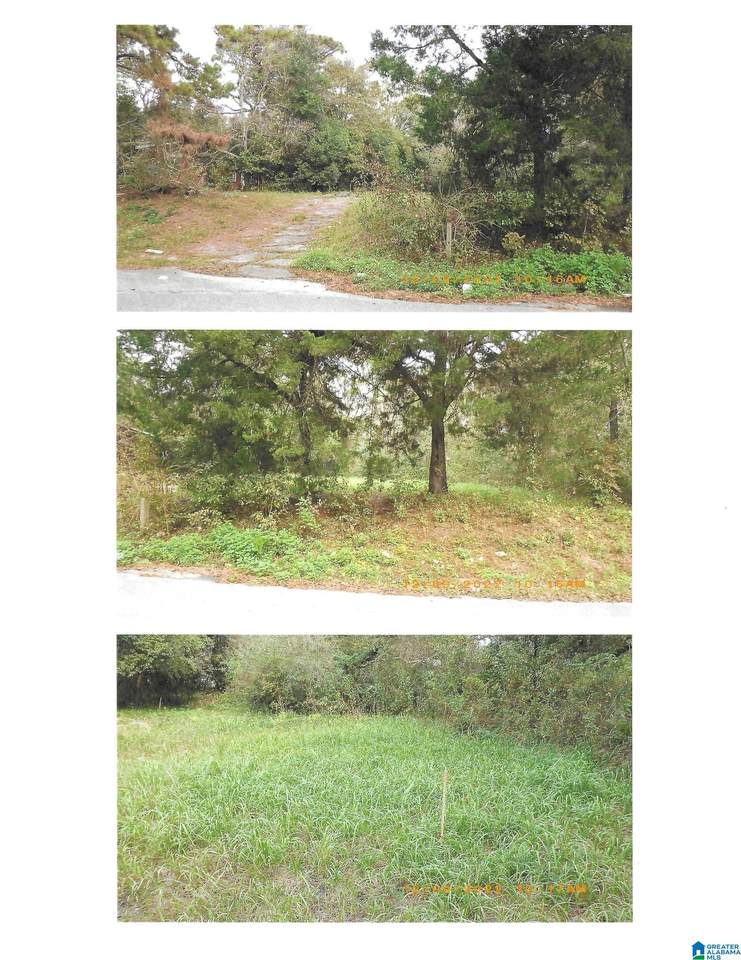 2500 Greenlawn Drive - Photo 1