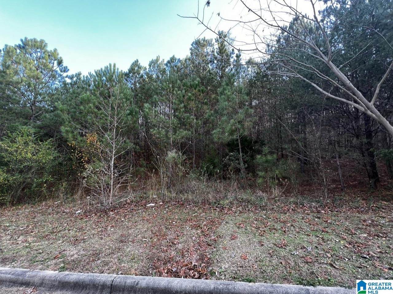 5439 Somersby Parkway - Photo 1