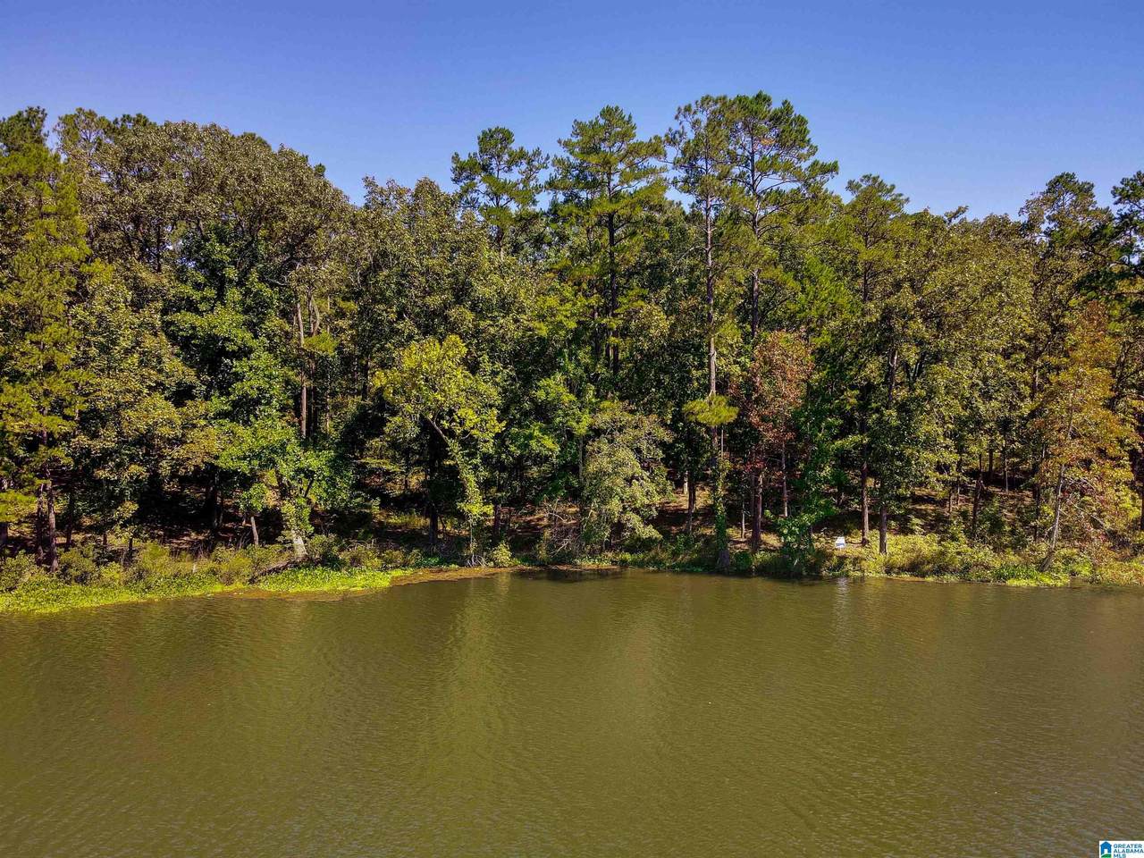 Lot A3 Cove Drive - Photo 1