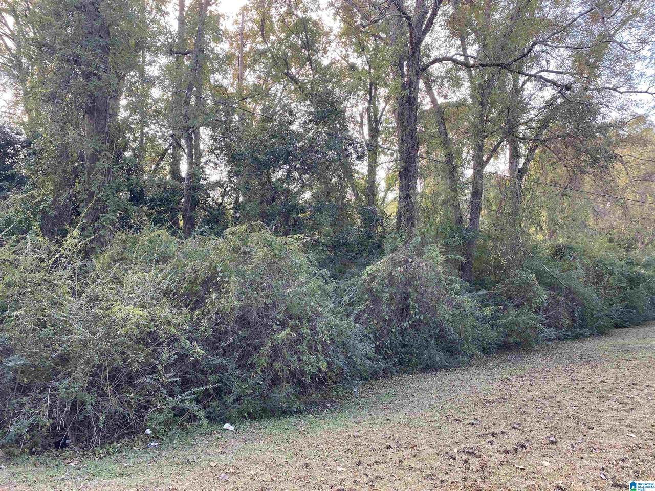 1219 Hueytown Road - Photo 1