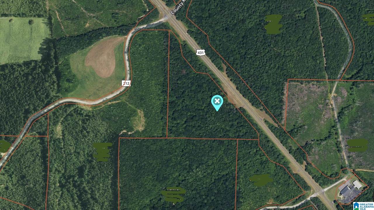0 Highway 431 - Photo 1
