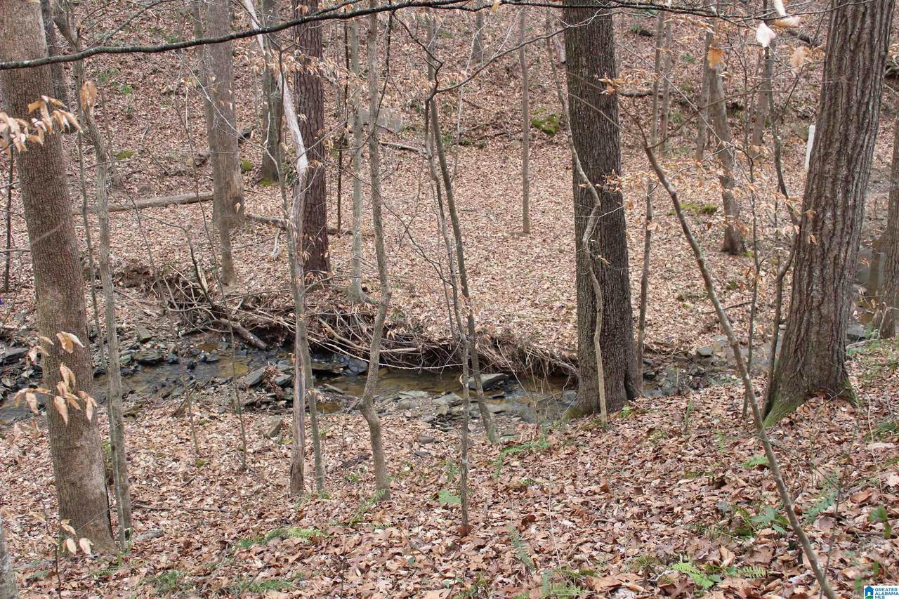 LOT 9 Quail Run - Photo 1