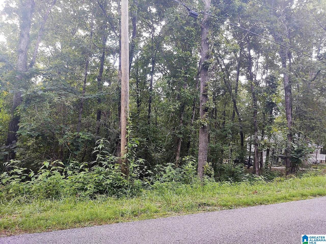 00 River Drive - Photo 1
