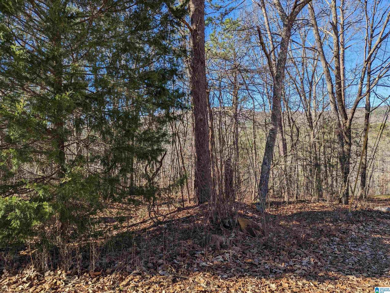 823 Timothy Drive - Photo 1