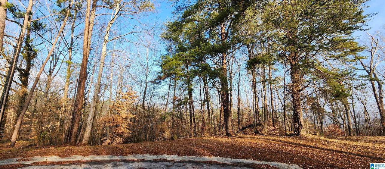 2232 Ledgewood Circle - Photo 1