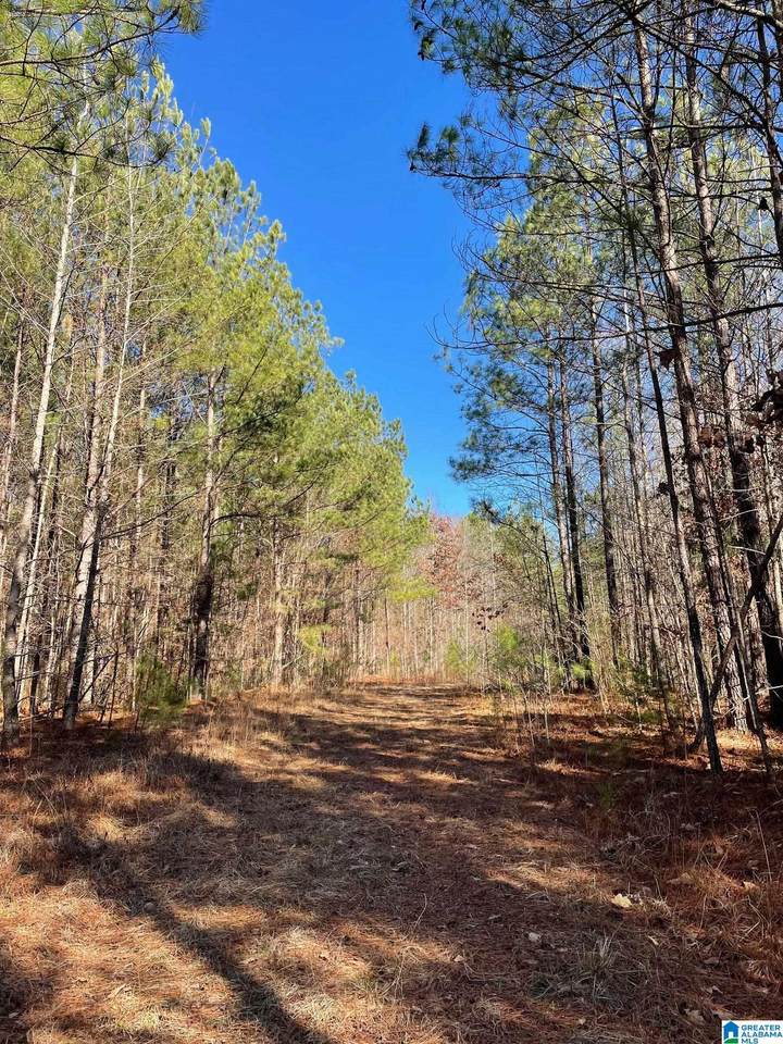 0 County Road 18 - Photo 1