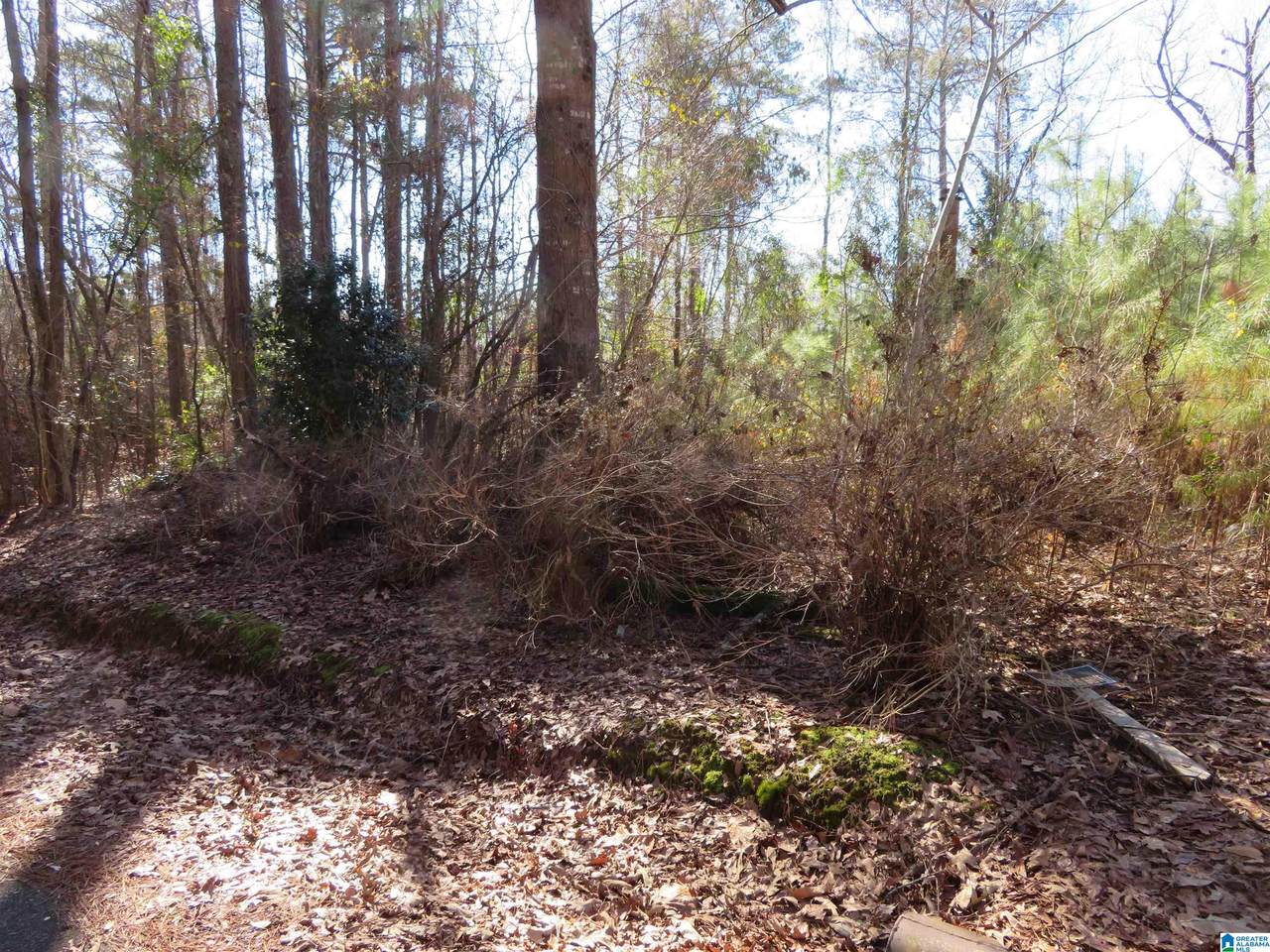 Woodland Drive - Photo 1