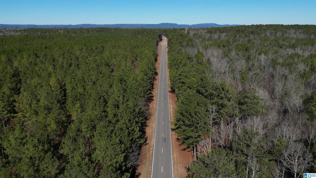 2000 County Road 49 - Photo 1